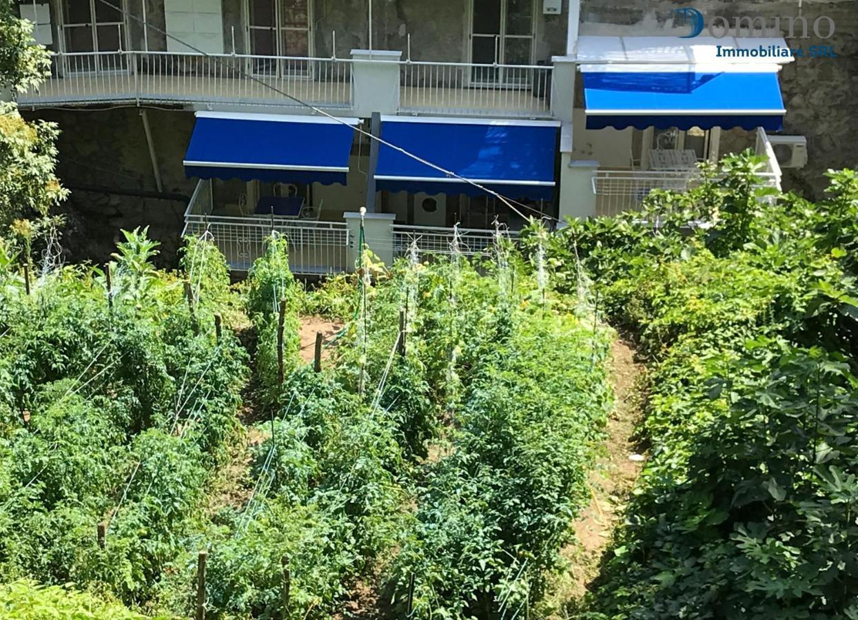 Casa Laurito Διαμέρισμα Ποζιτάνο Εξωτερικό φωτογραφία